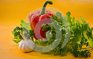 Vegetables - red bell pepper, paprika, garlic, lettuce